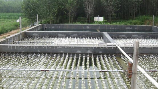 养殖废水的酸碱中和调节